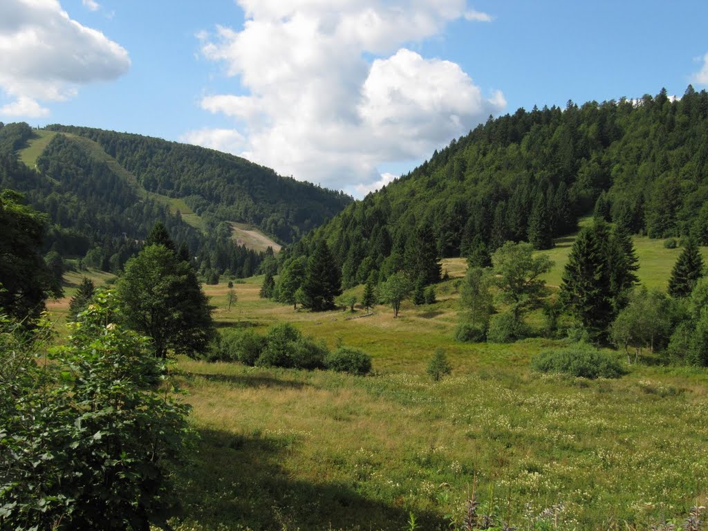 Vosges by Erik B.