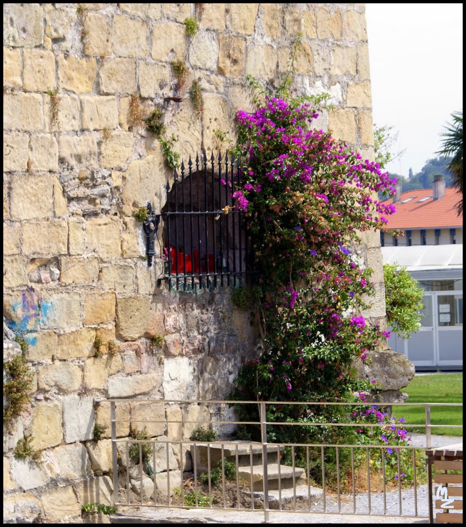 HONDARRIBIA by Maite Z.