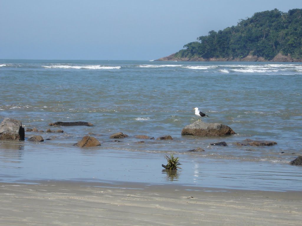 Guaraú - Peruibe by Lorinelde Brugnorott…