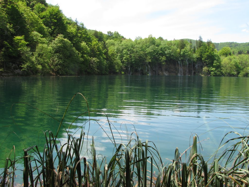 Plitvice by Fikret Alicajic