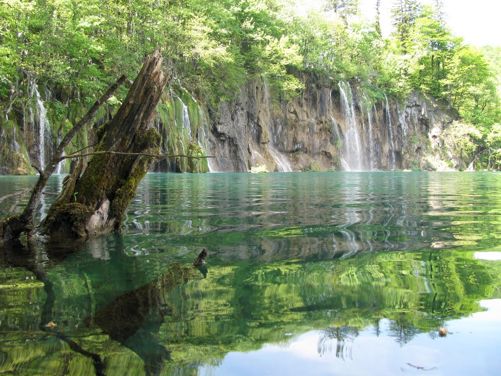 Plitvice by Fikret Alicajic