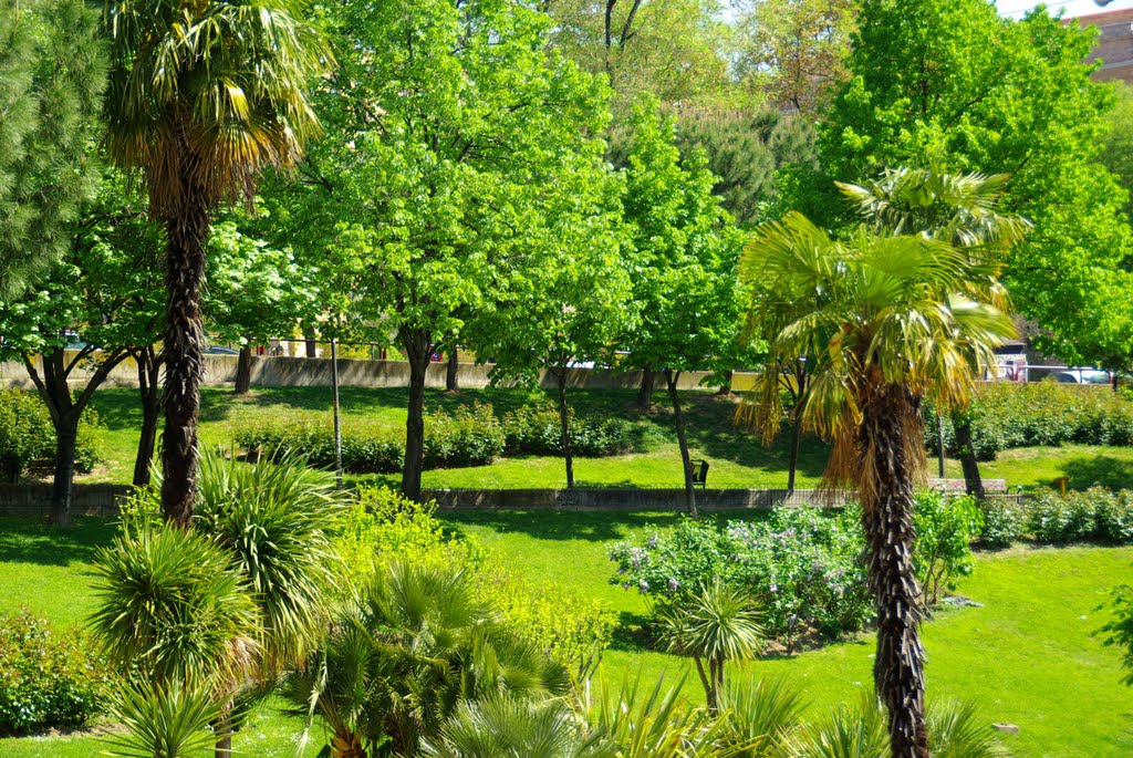 MADRID VERDE PARQUE DEL RASTRO (GASOMETRO) by Concepcion AMAT ORTA…