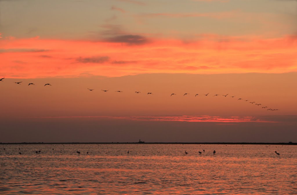 Le soir en Camargue by lorcas