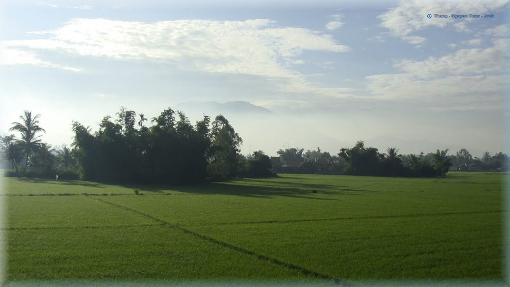 Đồng lúa Ninh Hòa by Vietnam My Country