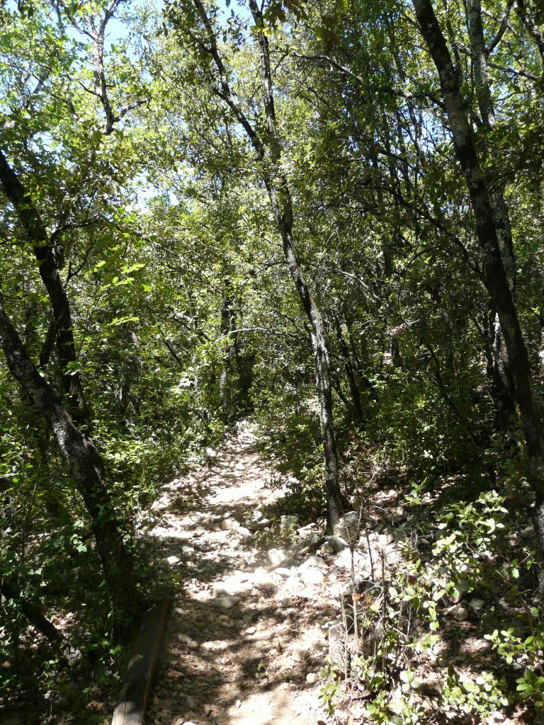 Sentier forrestière à Domaine de la Sablière, Saint-Privat-de-Champclos by David Jimmink