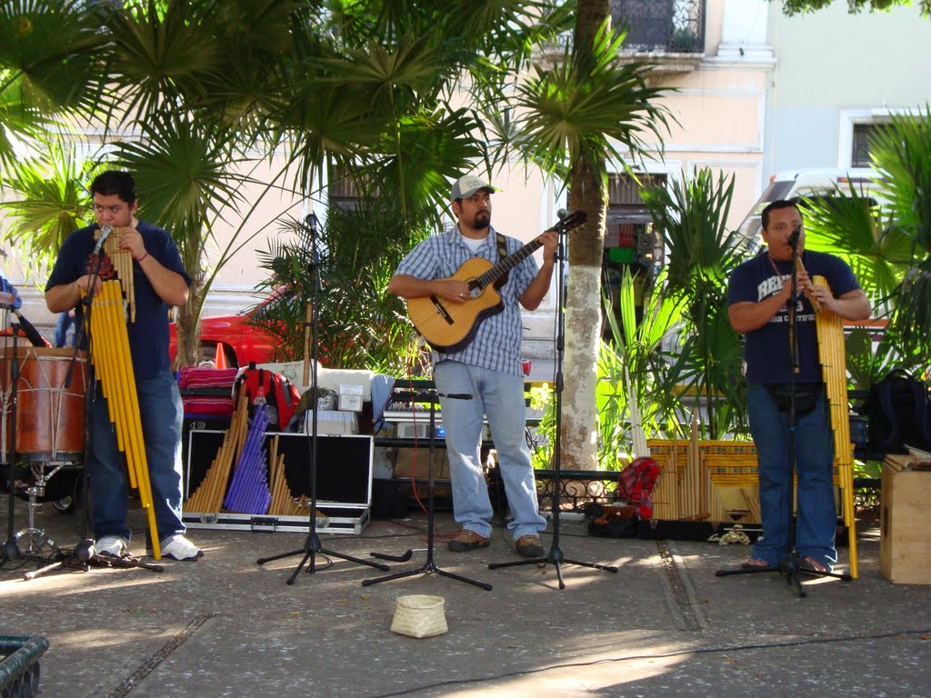 MUSICA ANDINA by Joel Antonio García