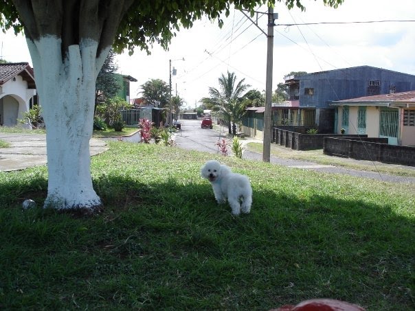 Parque Palma Heredia by mecharpantier