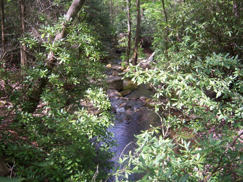 River near Montreat by mwsbrower