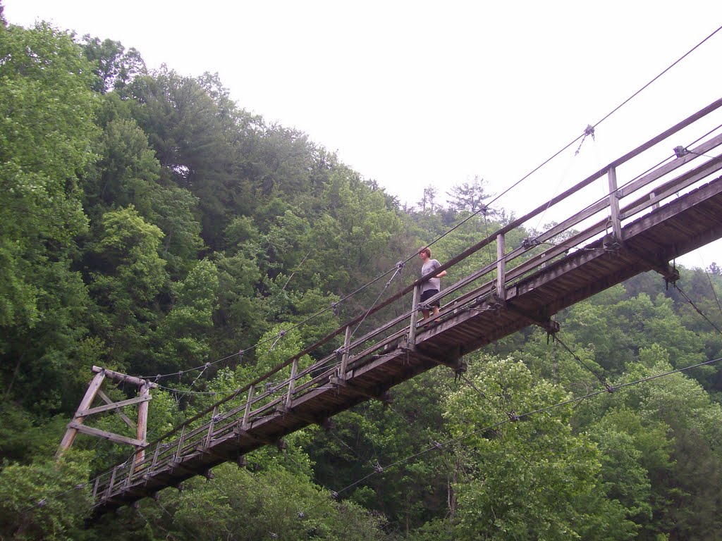 Bridge over Toxaway River by mwsbrower