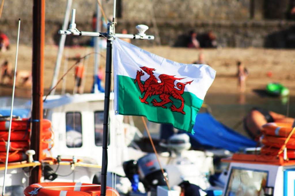 Tenby Harbour by Noddy22