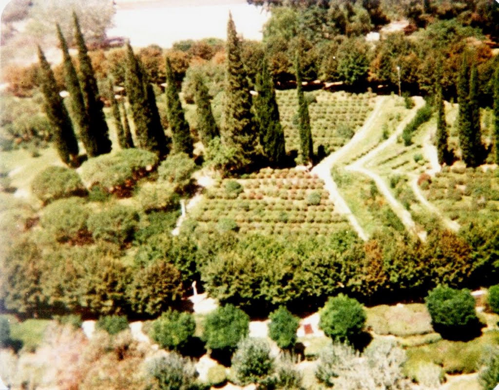 El jardín de los poetas - San Juan - FEB 1981 by D.A.W.