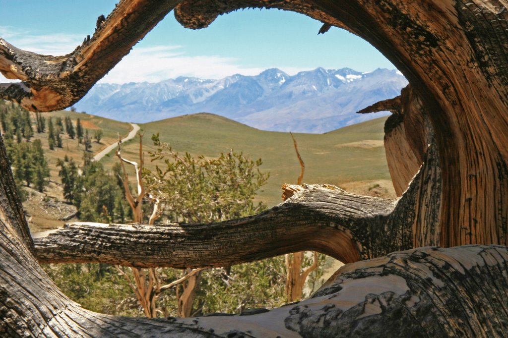 Eastern Sierra from the White Mountains ...06.24.07*.©.rc by Richard Campbell