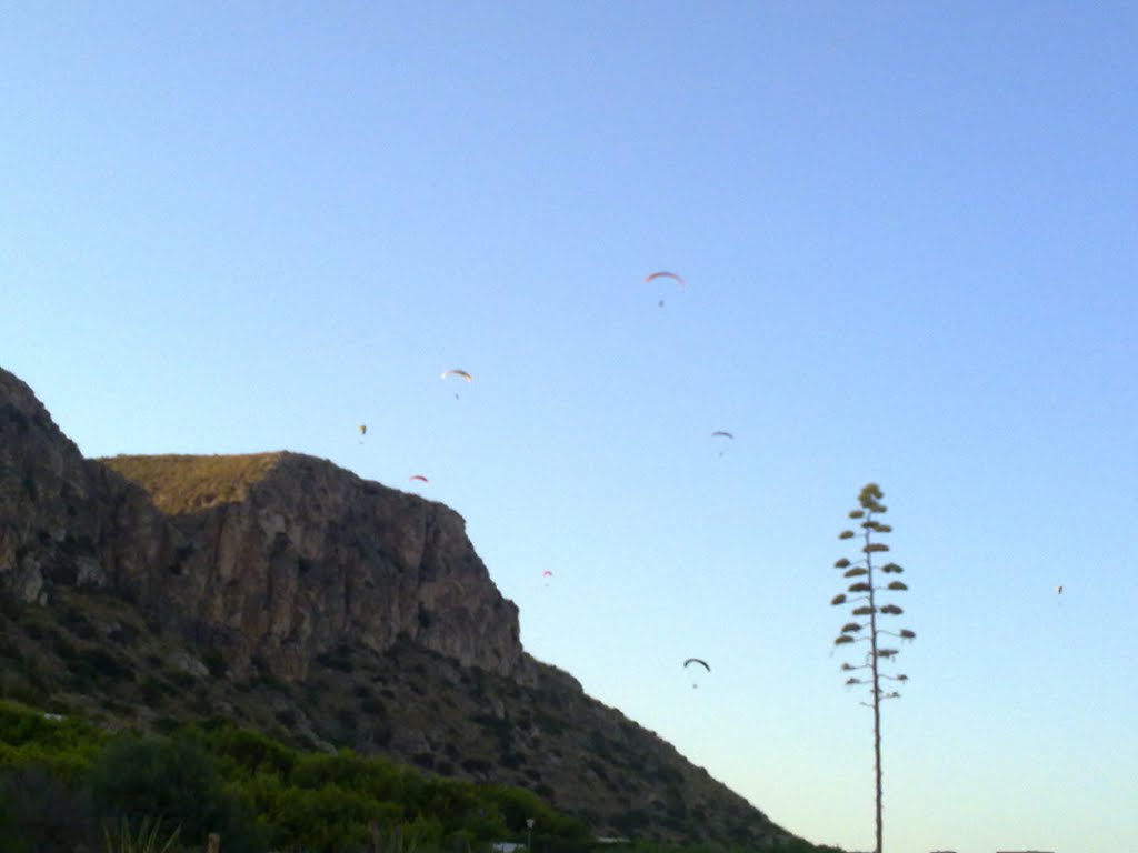 Parapentes & Agave Americana by surfer78z