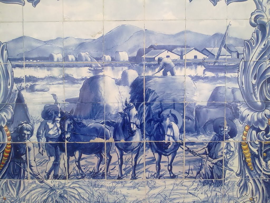 Painel de azulejo - Mercado diário Santarém by vitor gonçalves