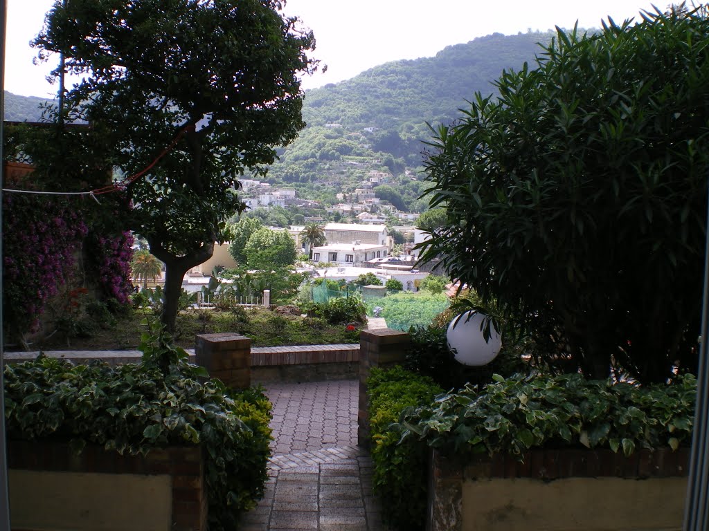 Vista da Suisse Termal Village "ISCHIA" by AULO STEFANI