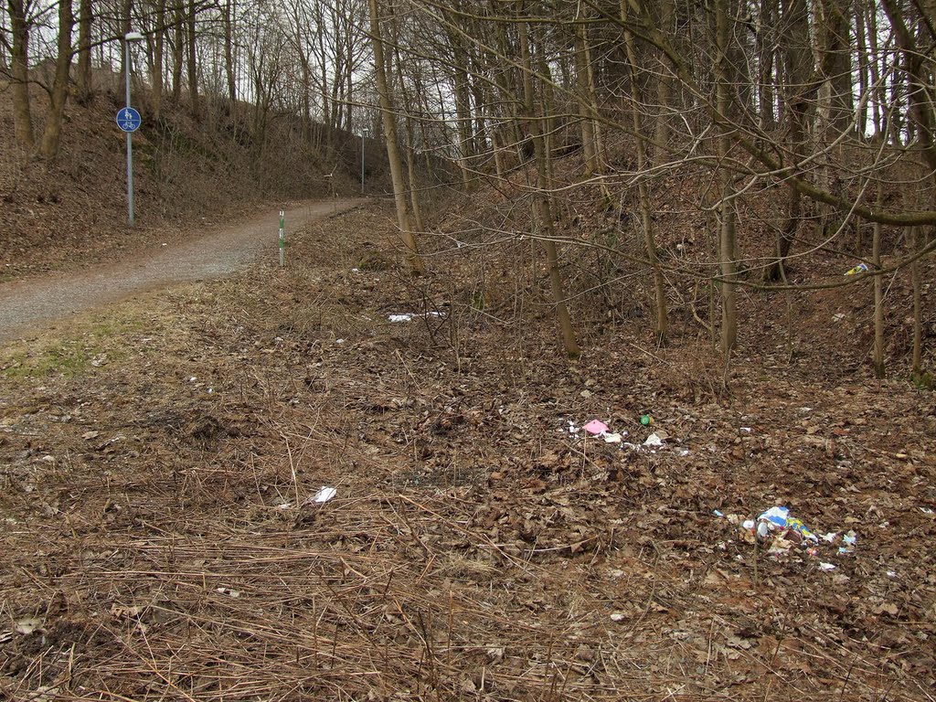 Innerstetalbahn - Strecke in Clausthal-Zellerfeld by oeftermalwasneues