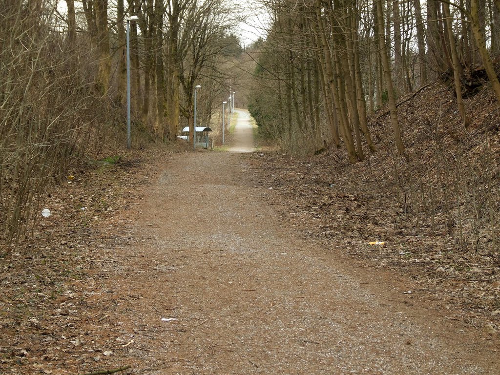 Innerstetalbahn - Ausfahrt aus Clausthal-Zellerfeld by oeftermalwasneues