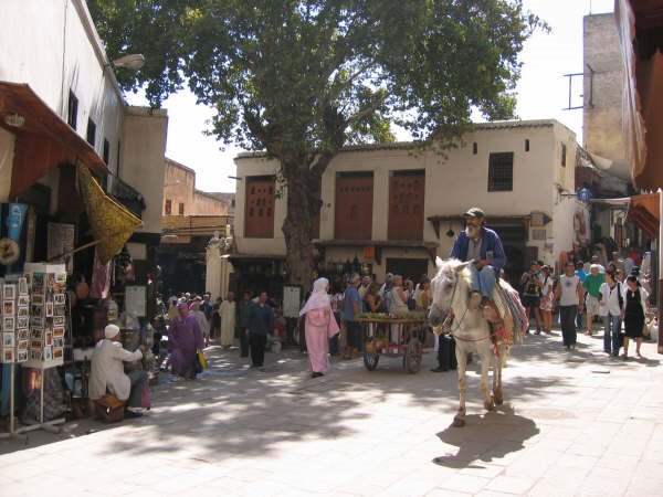 Medina de Fes by Cesar Ruiz Rodriguez