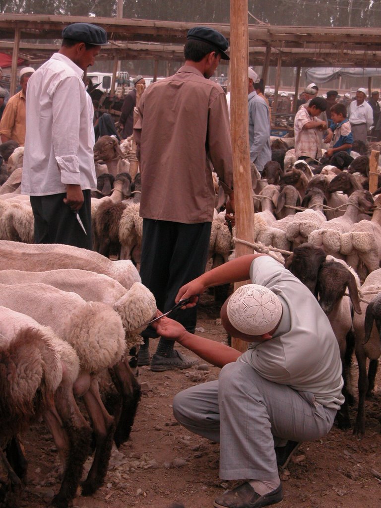 At the lifestock market in Kashgar by Philipp Gaertner