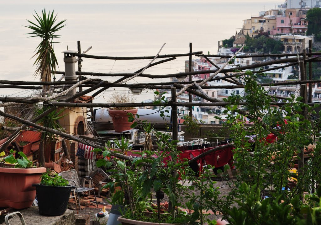 Positano, piccolo cortile by Silvana Berardelli