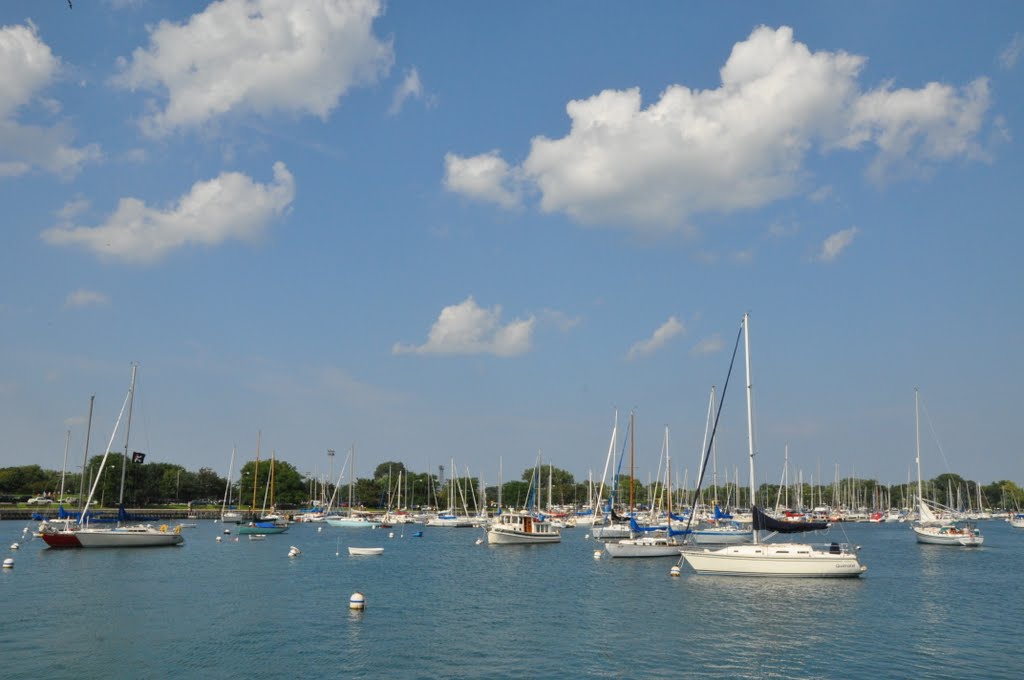 Chicago Harbor by Andy Dinh