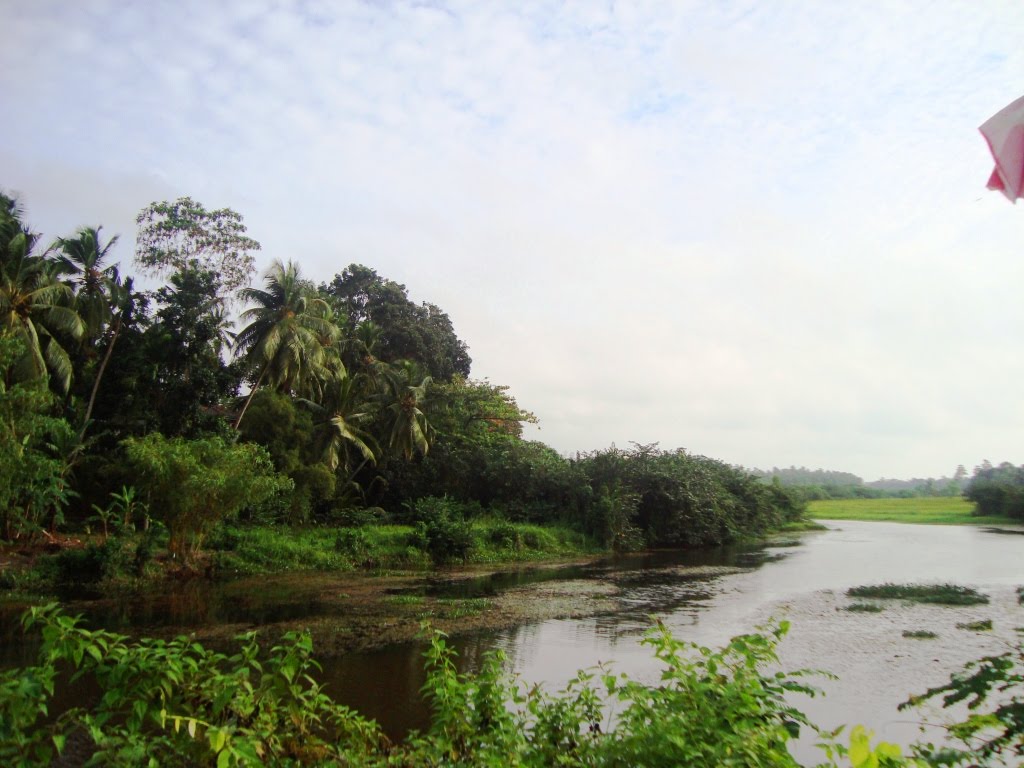 Mawala, Sri Lanka by Senanayaka Bandara