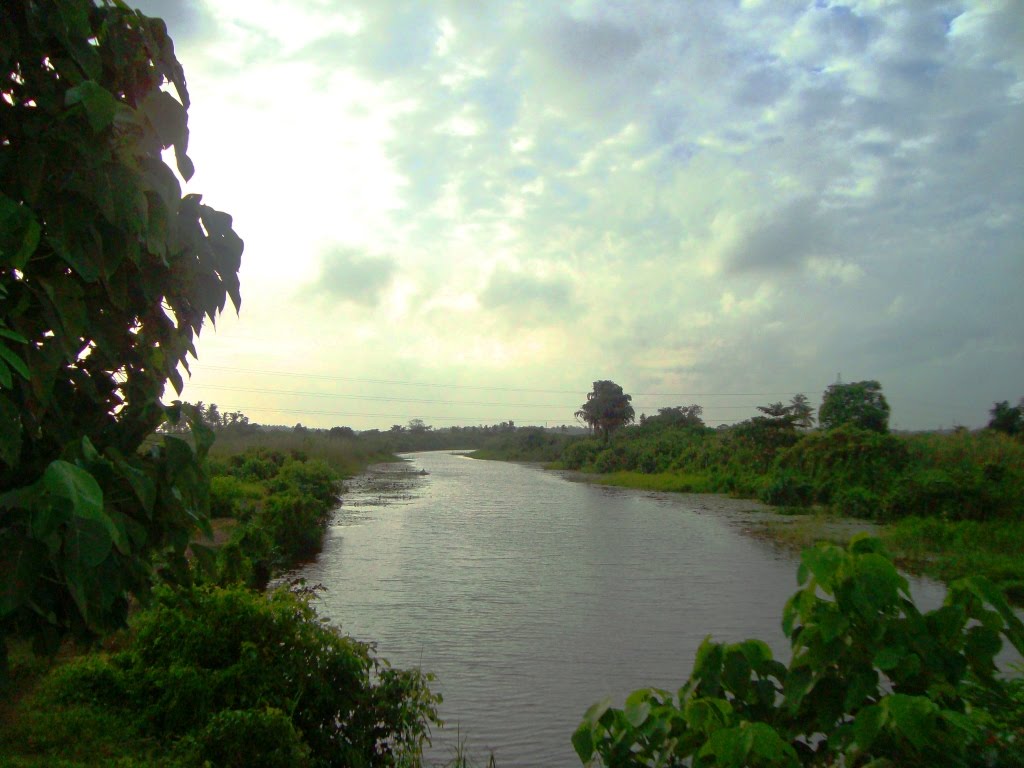 Kuda Gonadoowa, Sri Lanka by Senanayaka Bandara