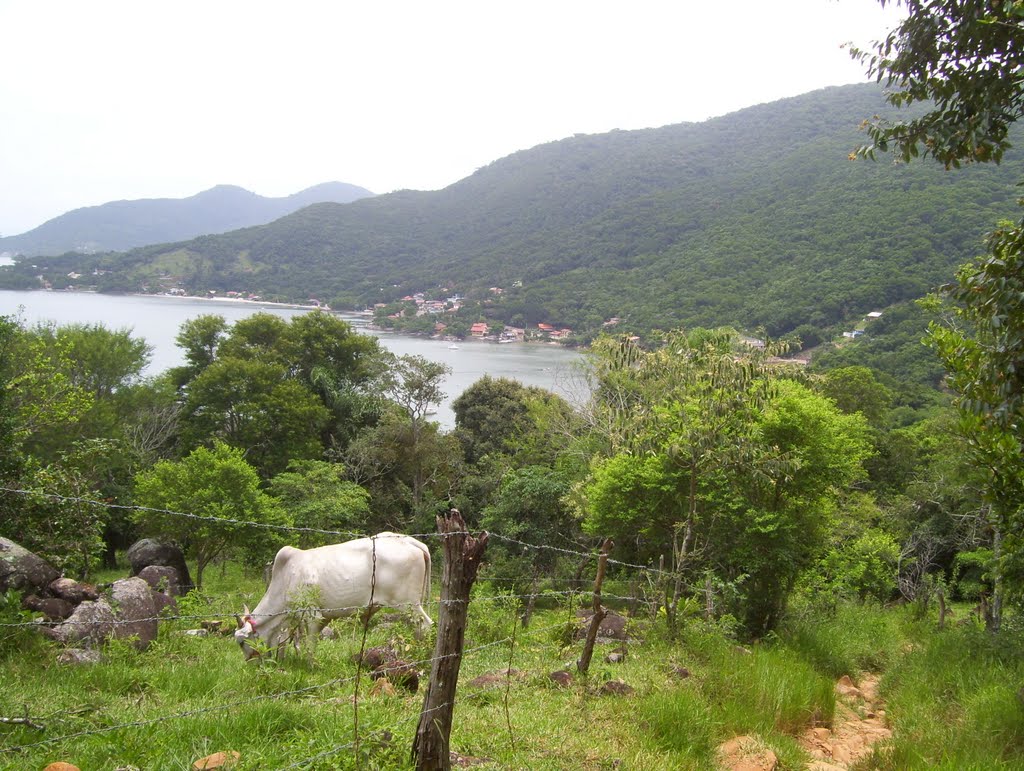 Caieira da Barra do Sul (desde Trilha) by valdopoché