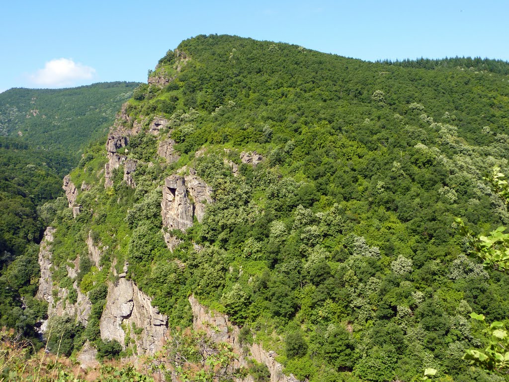 Красотата на Родопите - Скалите / The Beauty of Rhodopes - The Rocks by godonikolov