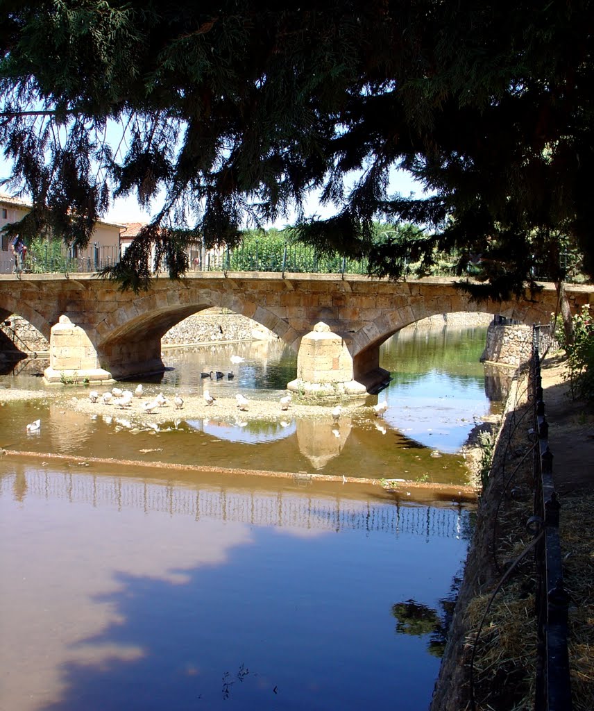 Puente romano sobre el rio "Aguisejo". by Luis Domingo