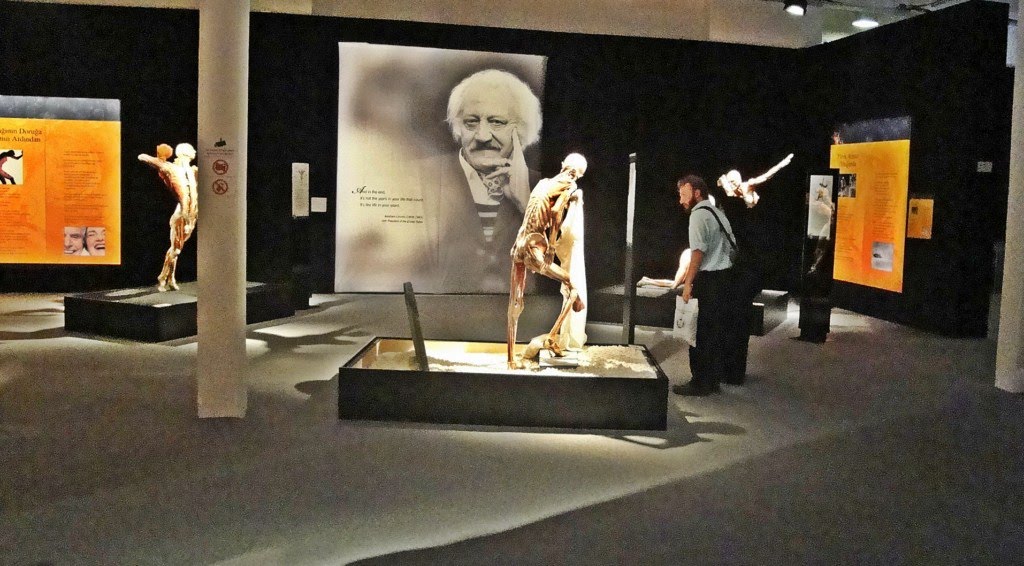 İSTANBUL BODY WORLDS MUSEUM by White HORSE