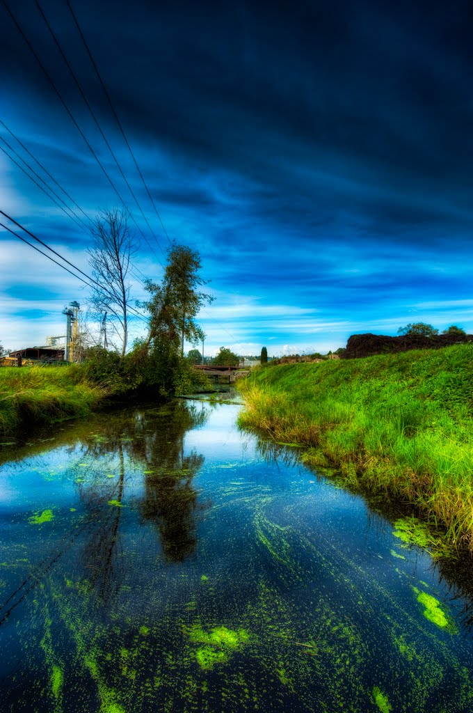 Beside all roads in Richmond BC by d5photo-com