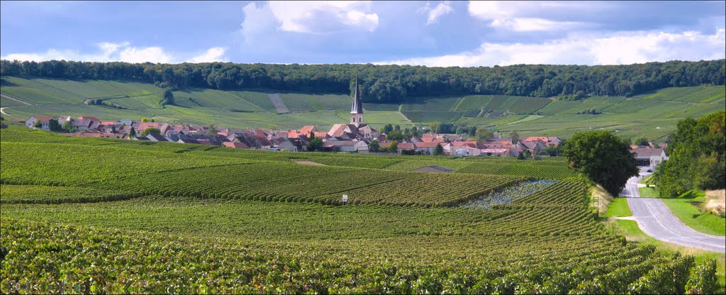 Vue sur Chamery by Philippe.Berthod