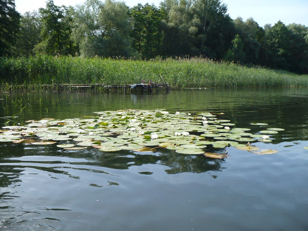 Краснооскольское водохранилище, Богуславка by Dotsya