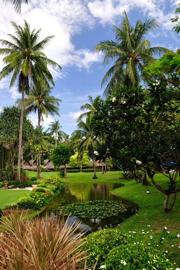 Thailand, Phuket, Club Andaman Beach resort by palfov