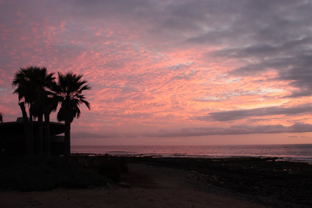 Tropical Tenerife Sunset by Radisav