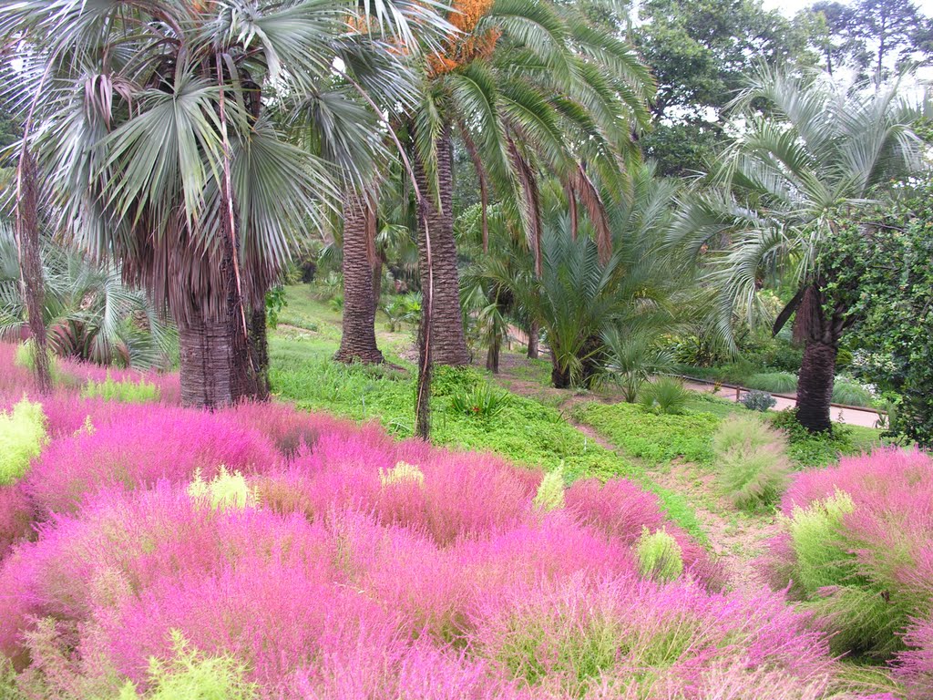 Jardin Botánico de Marimurtra by helicongus