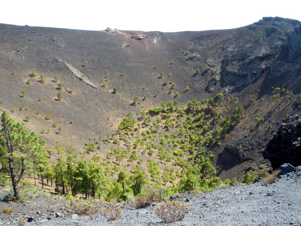 Fuencaliente - Volcan San Antonio by Cesar Franco