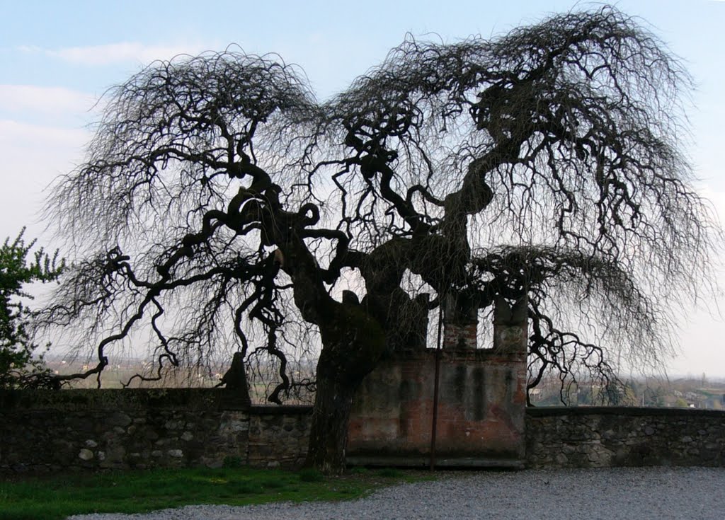 Bornato, castello by Massetti Gianfranco