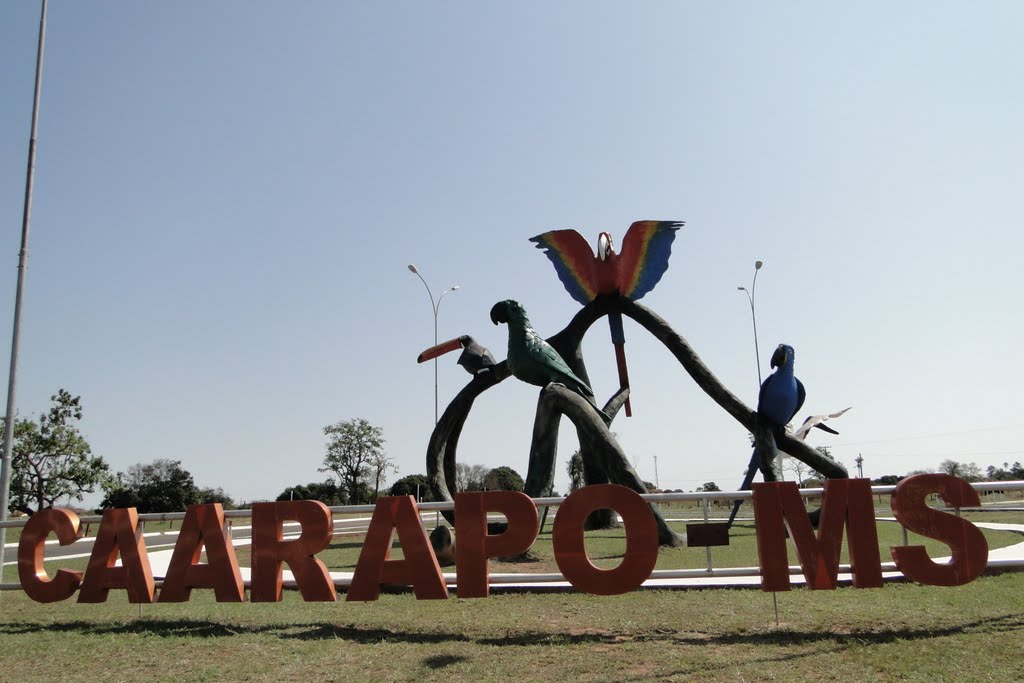 Monumento de pássaros junto a Rodovia BR-163 em Caarapó - Mato Grosso do Sul - Brasil - See more photos at www.panoramio.com/user505354 by Paulo Yuji Takarada