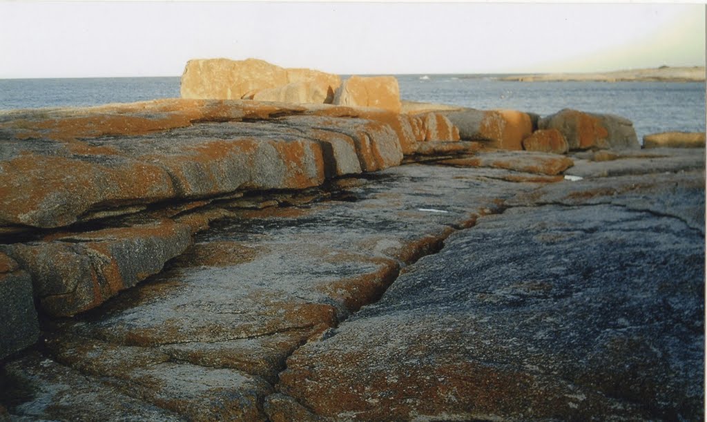 Bicheno, Tasmania,Australia by Ernesto Tilbrook