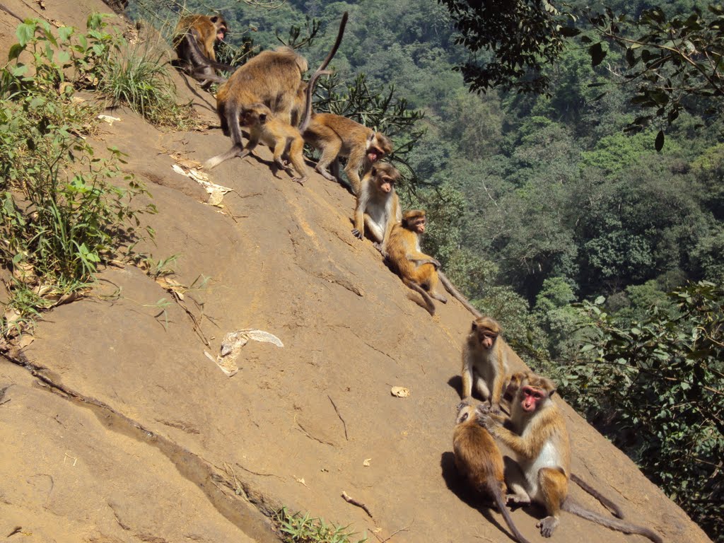 Badulla - sri lanka by omar abufarha