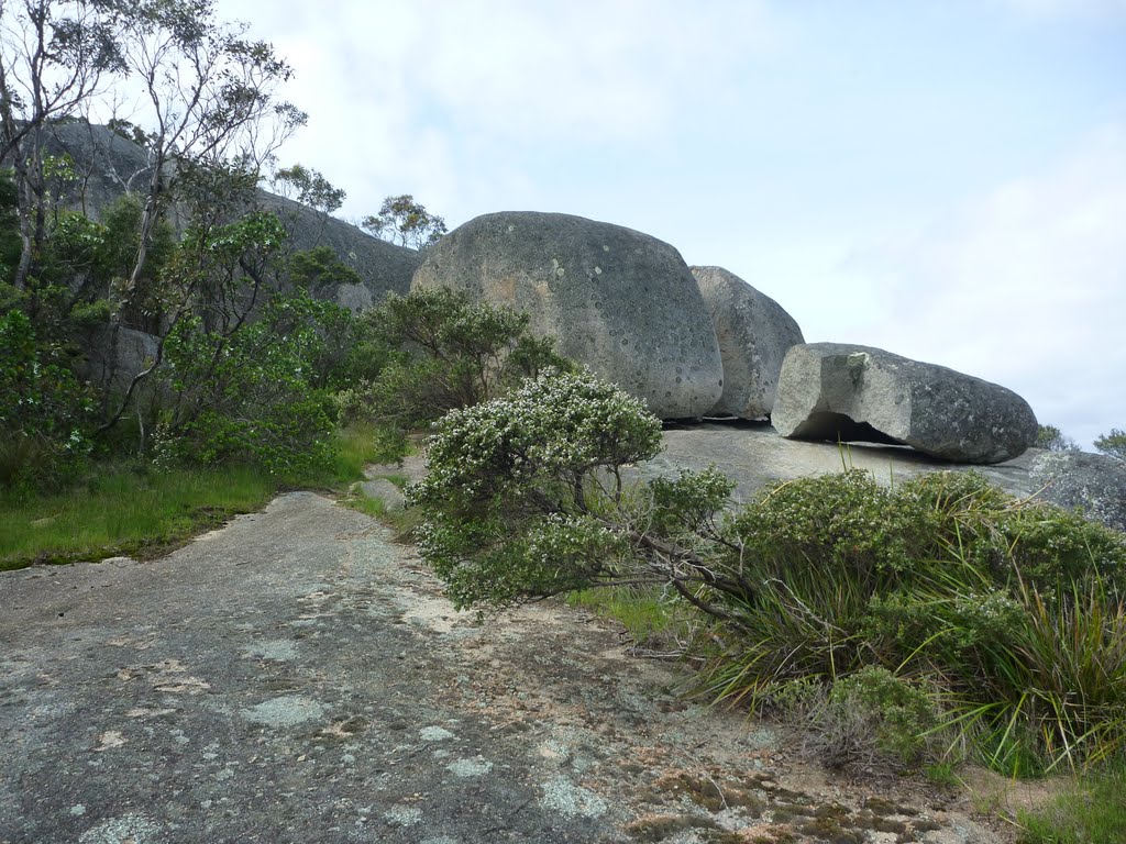 Mount Melvlle near summit 3 by darren hughes