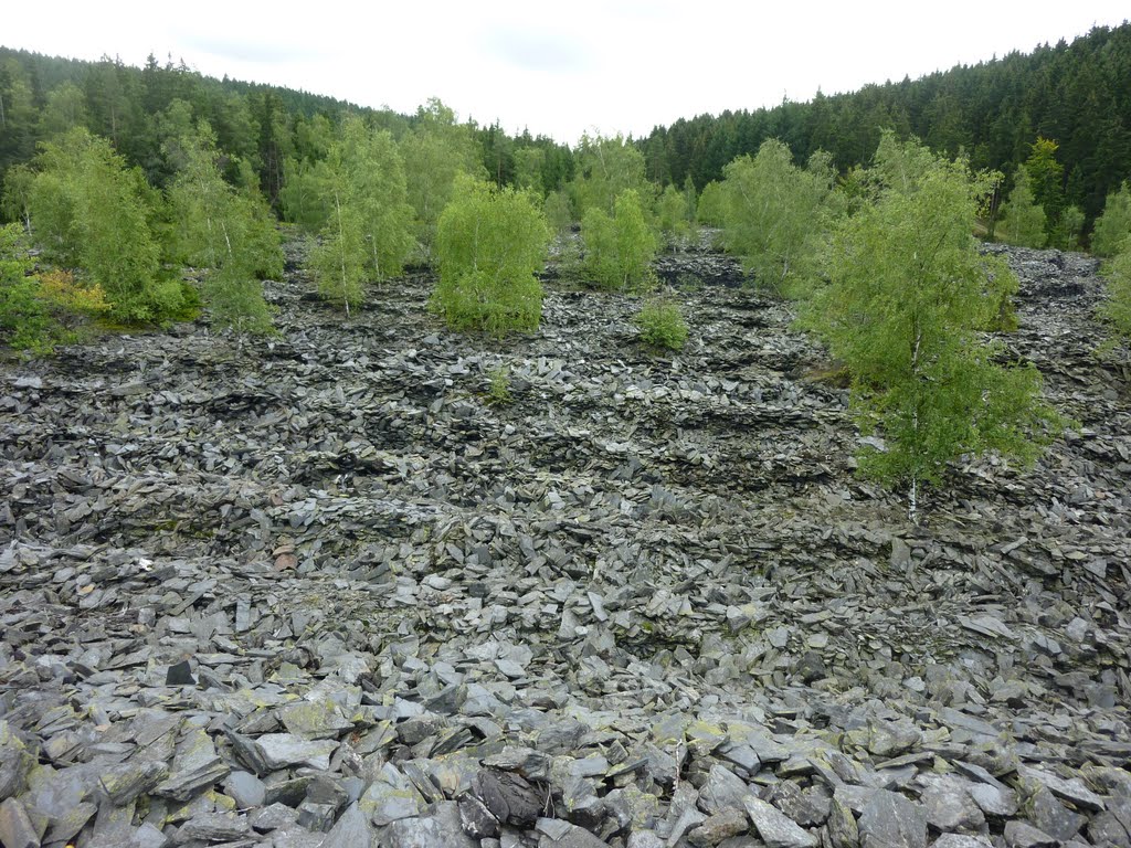 Rehbachhalde bei Schmiedebach by berenstein