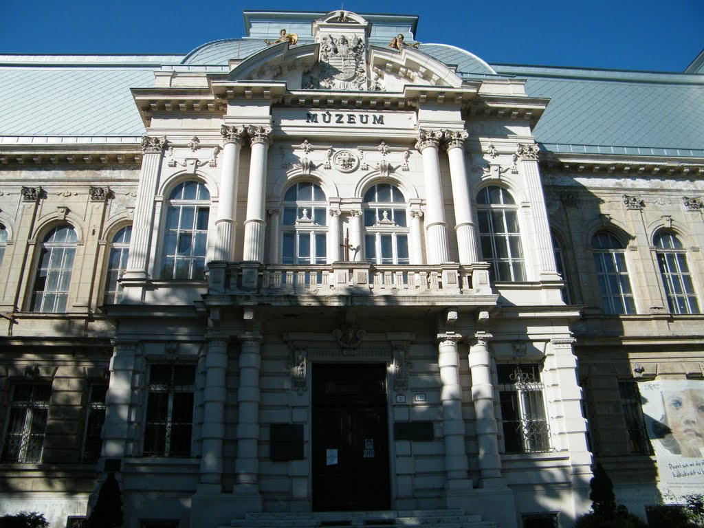 Eastern-Slovak Museum by Gianfranco Miele