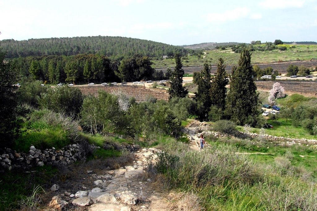 Israel. View from Lachish by Igor Svobodin