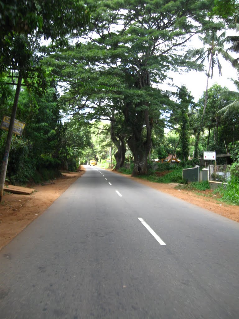 A9 Road Towards Matale by Saltha Dsevenii