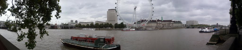 View from the Embankment by Martyn Surridge