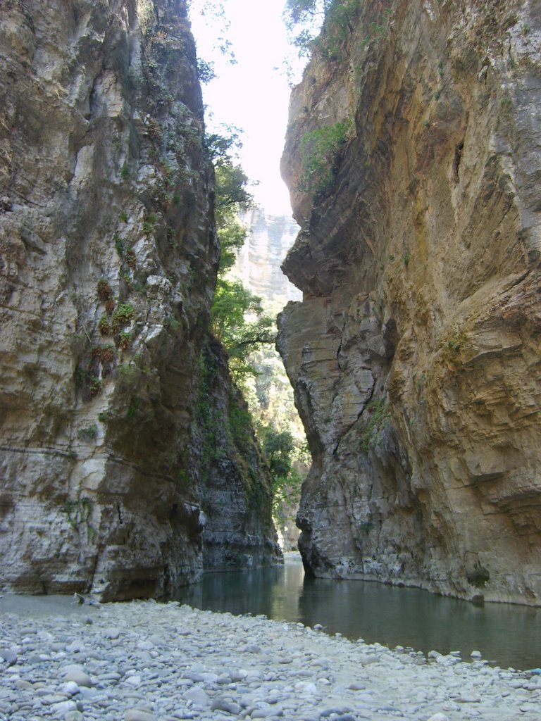 Skrapar District, Albania by Daniela Dingo