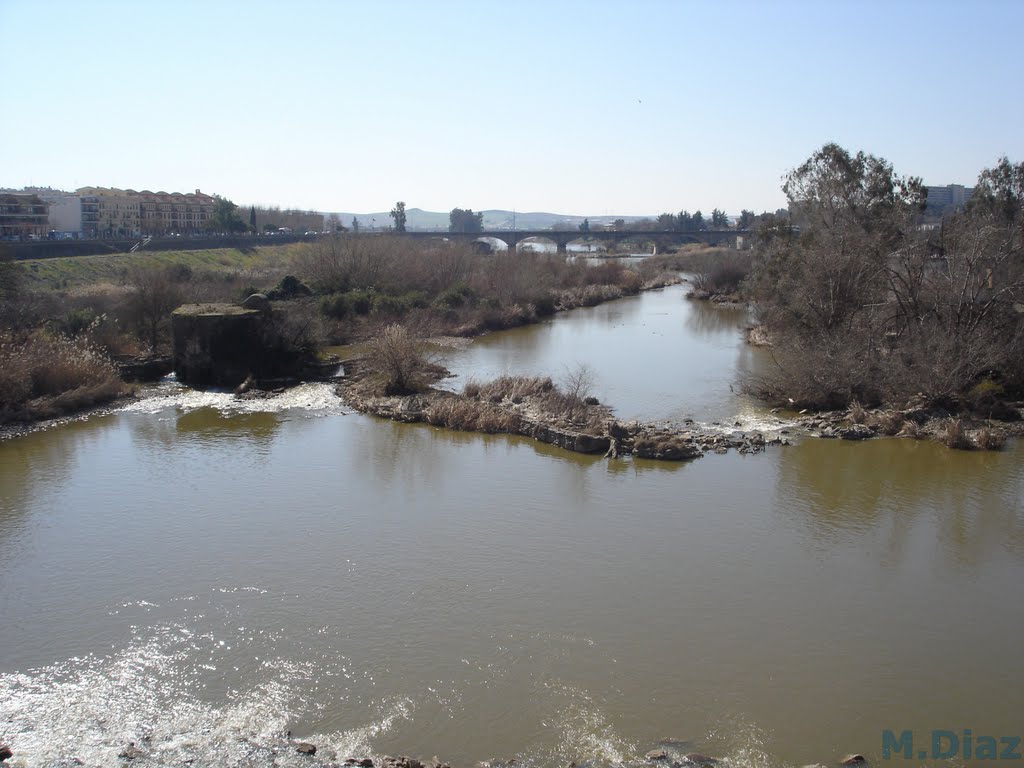 Fray Albino, 14009 Córdoba, Spain by m.diaz